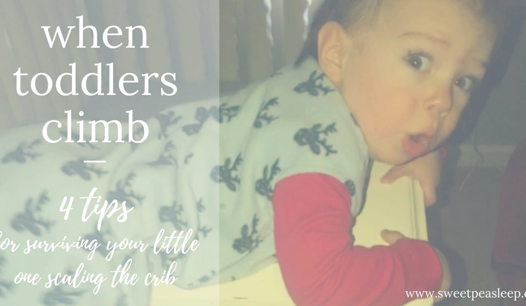 When Toddlers Climb Sweet Pea Sleep Solutions