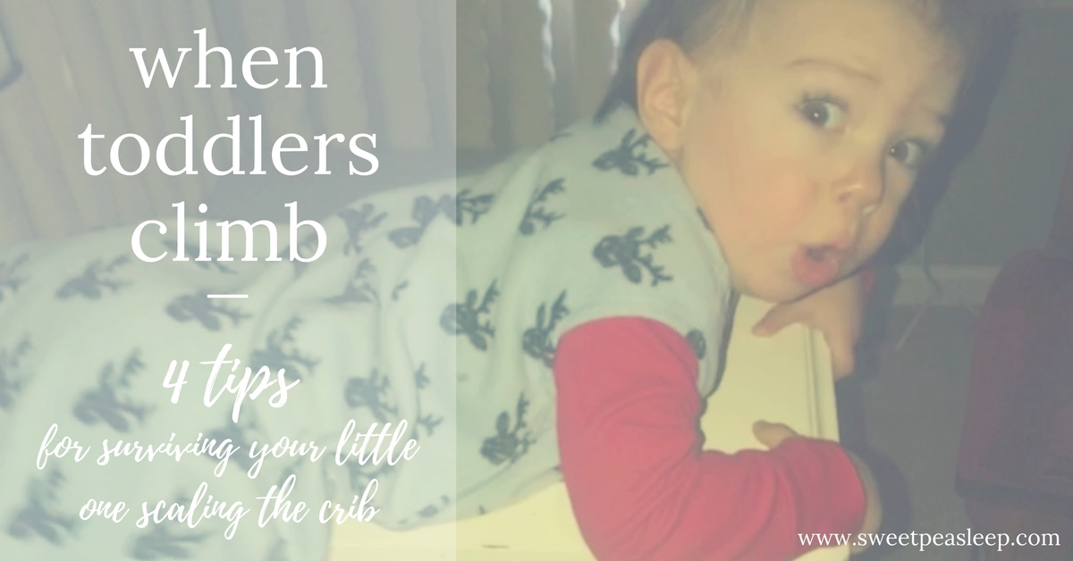 Read more about the article When Toddlers Climb